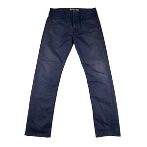 Patagonia Mens Navy Blue Organic Cotton Straight Fit Canvas Pants 32x32